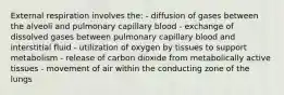 External respiration involves the: - diffusion of gases between the alveoli and pulmonary capillary blood - exchange of dissolved gases between pulmonary capillary blood and interstitial fluid - utilization of oxygen by tissues to support metabolism - release of carbon dioxide from metabolically active tissues - movement of air within the conducting zone of the lungs