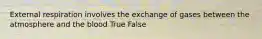 External respiration involves the exchange of gases between the atmosphere and the blood True False