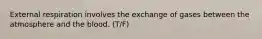External respiration involves the exchange of gases between the atmosphere and the blood. (T/F)