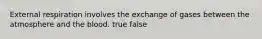 External respiration involves the exchange of gases between the atmosphere and the blood. true false