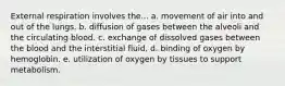 External respiration involves the... a. movement of air into and out of the lungs. b. diffusion of gases between the alveoli and the circulating blood. c. exchange of dissolved gases between the blood and the interstitial fluid. d. binding of oxygen by hemoglobin. e. utilization of oxygen by tissues to support metabolism.