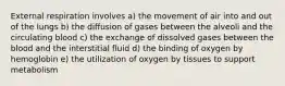 External respiration involves a) the movement of air into and out of the lungs b) the diffusion of gases between the alveoli and the circulating blood c) the exchange of dissolved gases between the blood and the interstitial fluid d) the binding of oxygen by hemoglobin e) the utilization of oxygen by tissues to support metabolism