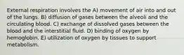 External respiration involves the A) movement of air into and out of the lungs. B) diffusion of gases between the alveoli and the circulating blood. C) exchange of dissolved gases between the blood and the interstitial fluid. D) binding of oxygen by hemoglobin. E) utilization of oxygen by tissues to support metabolism.