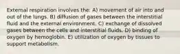 External respiration involves the: A) movement of air into and out of the lungs. B) diffusion of gases between the interstitial fluid and the external environment. C) exchange of dissolved gases between the cells and interstitial fluids. D) binding of oxygen by hemoglobin. E) utilization of oxygen by tissues to support metabolism.