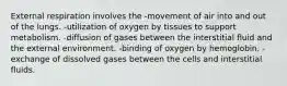 External respiration involves the -movement of air into and out of the lungs. -utilization of oxygen by tissues to support metabolism. -diffusion of gases between the interstitial fluid and the external environment. -binding of oxygen by hemoglobin. -exchange of dissolved gases between the cells and interstitial fluids.