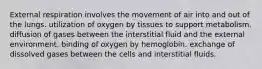 External respiration involves the movement of air into and out of the lungs. utilization of oxygen by tissues to support metabolism. diffusion of gases between the interstitial fluid and the external environment. binding of oxygen by hemoglobin. exchange of dissolved gases between the cells and interstitial fluids.