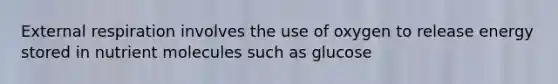 External respiration involves the use of oxygen to release energy stored in nutrient molecules such as glucose