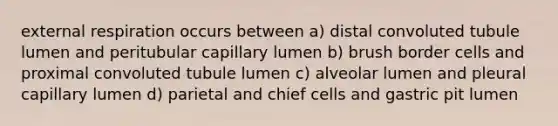 external respiration occurs between a) distal convoluted tubule lumen and peritubular capillary lumen b) brush border cells and proximal convoluted tubule lumen c) alveolar lumen and pleural capillary lumen d) parietal and chief cells and gastric pit lumen