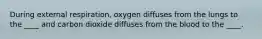 During external respiration, oxygen diffuses from the lungs to the ____ and carbon dioxide diffuses from the blood to the ____.