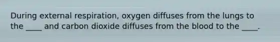 During external respiration, oxygen diffuses from the lungs to the ____ and carbon dioxide diffuses from the blood to the ____.