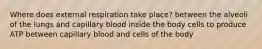 Where does external respiration take place? between the alveoli of the lungs and capillary blood inside the body cells to produce ATP between capillary blood and cells of the body