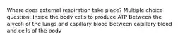 Where does external respiration take place? Multiple choice question. Inside the body cells to produce ATP Between the alveoli of the lungs and capillary blood Between capillary blood and cells of the body