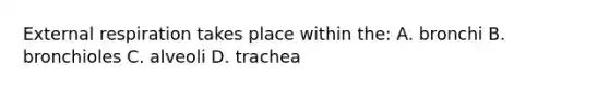 External respiration takes place within the: A. bronchi B. bronchioles C. alveoli D. trachea