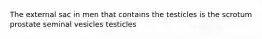 The external sac in men that contains the testicles is the scrotum prostate seminal vesicles testicles