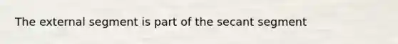 The external segment is part of the secant segment