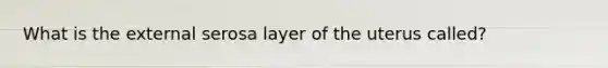 What is the external serosa layer of the uterus called?