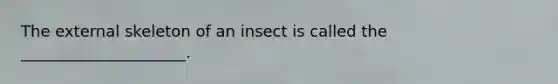 The external skeleton of an insect is called the _____________________.