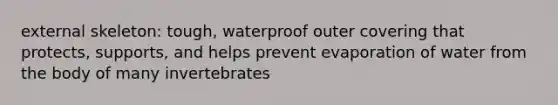 external skeleton: tough, waterproof outer covering that protects, supports, and helps prevent evaporation of water from the body of many invertebrates