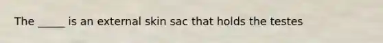 The _____ is an external skin sac that holds the testes