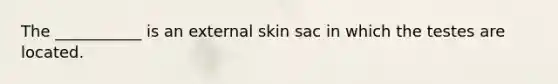 The ___________ is an external skin sac in which the testes are located.