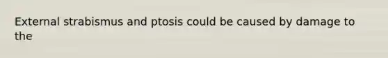 External strabismus and ptosis could be caused by damage to the