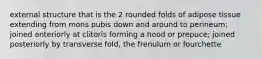 external structure that is the 2 rounded folds of adipose tissue extending from mons pubis down and around to perineum; joined anteriorly at clitoris forming a hood or prepuce; joined posteriorly by transverse fold, the frenulum or fourchette