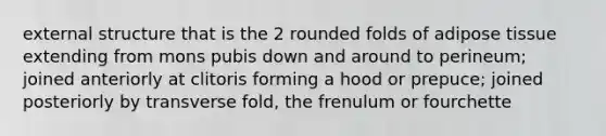 external structure that is the 2 rounded folds of adipose tissue extending from mons pubis down and around to perineum; joined anteriorly at clitoris forming a hood or prepuce; joined posteriorly by transverse fold, the frenulum or fourchette