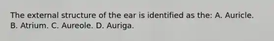 The external structure of the ear is identified as the: A. Auricle. B. Atrium. C. Aureole. D. Auriga.