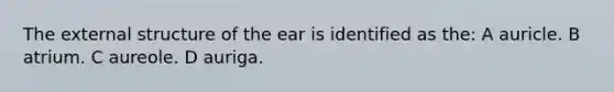 The external structure of the ear is identified as the: A auricle. B atrium. C aureole. D auriga.