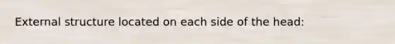 External structure located on each side of the head: