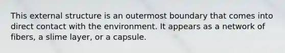 This external structure is an outermost boundary that comes into direct contact with the environment. It appears as a network of fibers, a slime layer, or a capsule.