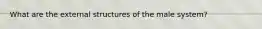 What are the external structures of the male system?