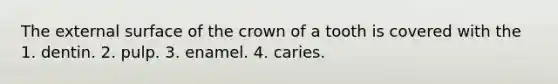 The external surface of the crown of a tooth is covered with the 1. dentin. 2. pulp. 3. enamel. 4. caries.