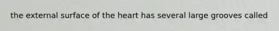 the external surface of the heart has several large grooves called