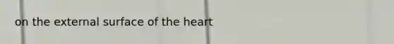 on the external surface of <a href='https://www.questionai.com/knowledge/kya8ocqc6o-the-heart' class='anchor-knowledge'>the heart</a>