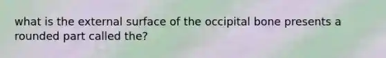 what is the external surface of the occipital bone presents a rounded part called the?