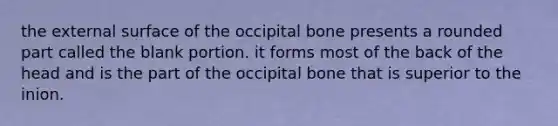 the external surface of the occipital bone presents a rounded part called the blank portion. it forms most of the back of the head and is the part of the occipital bone that is superior to the inion.