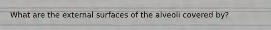 What are the external surfaces of the alveoli covered by?