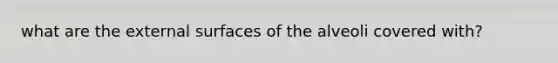 what are the external surfaces of the alveoli covered with?