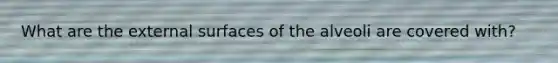 What are the external surfaces of the alveoli are covered with?