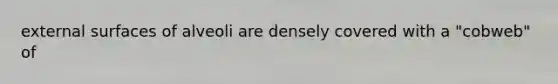 external surfaces of alveoli are densely covered with a "cobweb" of