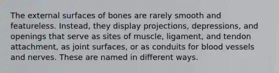 The external surfaces of bones are rarely smooth and featureless. Instead, they display projections, depressions, and openings that serve as sites of muscle, ligament, and tendon attachment, as joint surfaces, or as conduits for blood vessels and nerves. These are named in different ways.