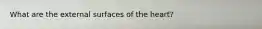 What are the external surfaces of the heart?