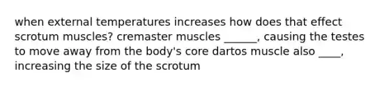 when external temperatures increases how does that effect scrotum muscles? cremaster muscles ______, causing the testes to move away from the body's core dartos muscle also ____, increasing the size of the scrotum