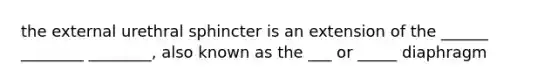the external urethral sphincter is an extension of the ______ ________ ________, also known as the ___ or _____ diaphragm