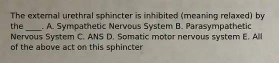 The external urethral sphincter is inhibited (meaning relaxed) by the ____. A. Sympathetic <a href='https://www.questionai.com/knowledge/kThdVqrsqy-nervous-system' class='anchor-knowledge'>nervous system</a> B. Parasympathetic Nervous System C. ANS D. Somatic motor nervous system E. All of the above act on this sphincter