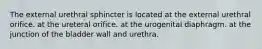 The external urethral sphincter is located at the external urethral orifice. at the ureteral orifice. at the urogenital diaphragm. at the junction of the bladder wall and urethra.