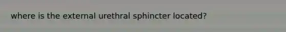 where is the external urethral sphincter located?