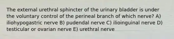 The external urethral sphincter of the urinary bladder is under the voluntary control of the perineal branch of which nerve? A) iliohypogastric nerve B) pudendal nerve C) ilioinguinal nerve D) testicular or ovarian nerve E) urethral nerve