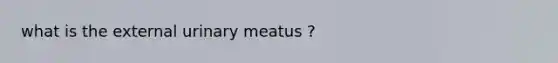 what is the external urinary meatus ?